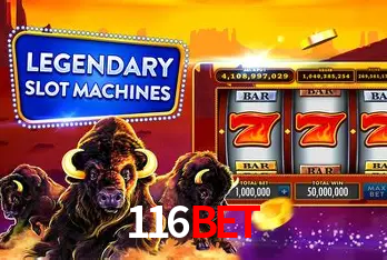 A Experiência Imersiva dos Cassinos Ao Vivo no 116bet